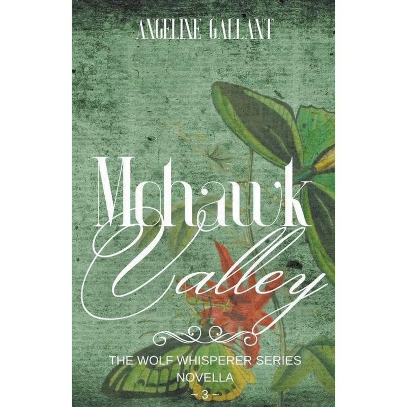 Mohawk Valley
