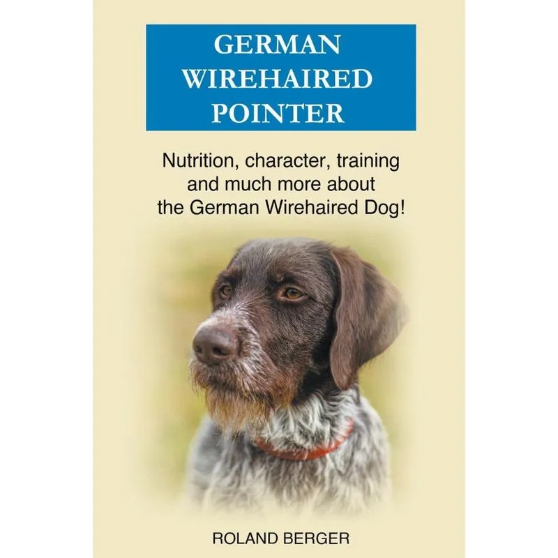 German Wirehaired Pointer