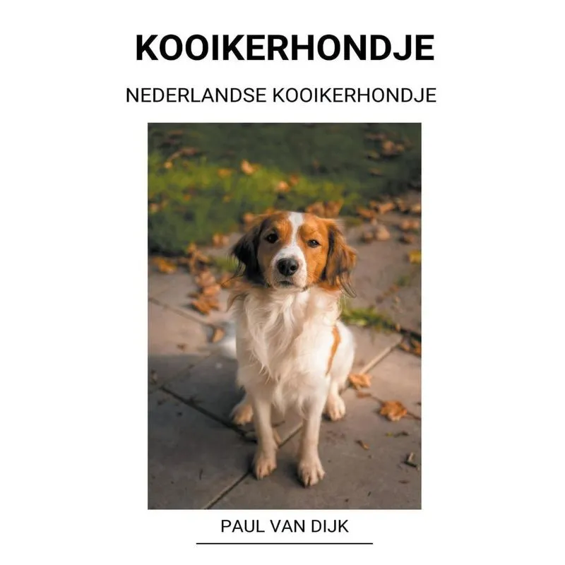 Nederlandse Kooikerhondje