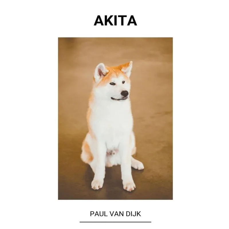 Akita