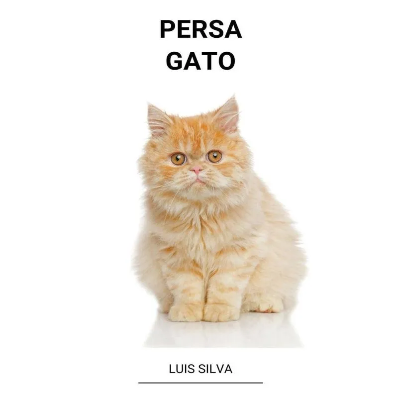 Livro Persa (Gato)