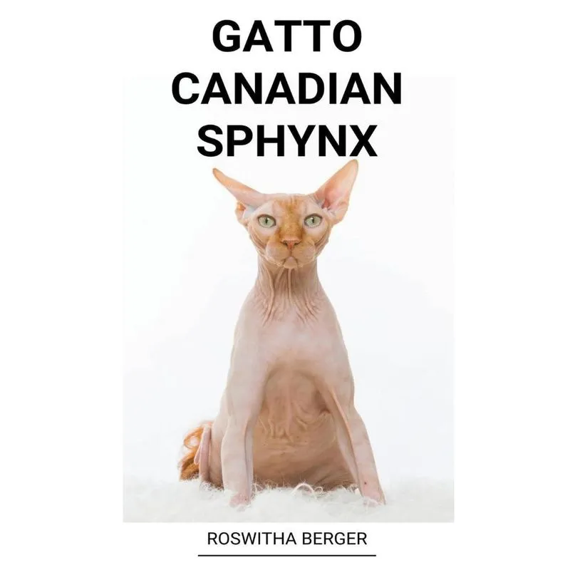 Gatto Canadian Sphynx