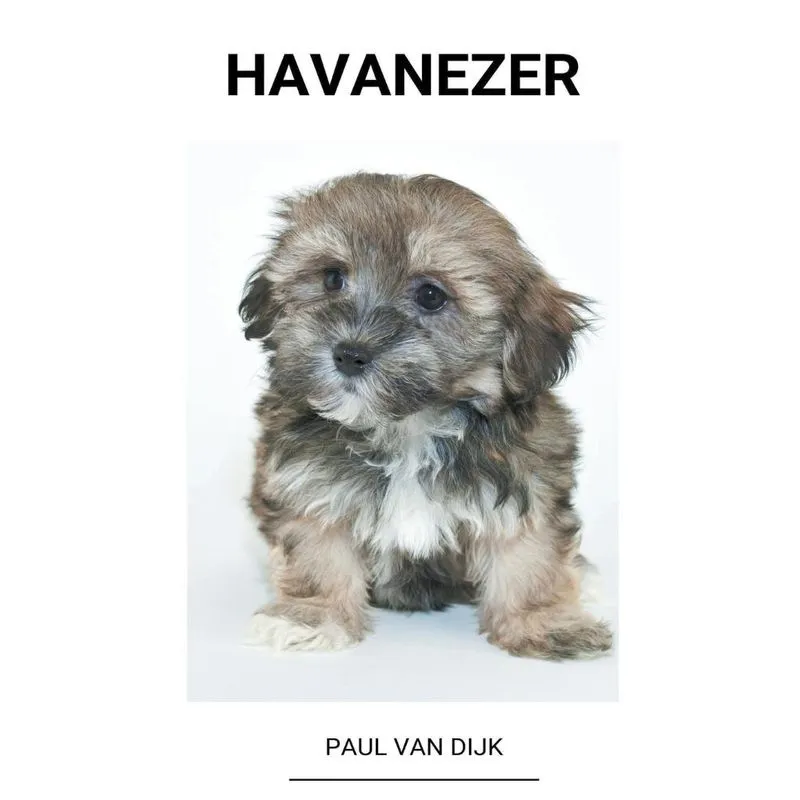 Havanezer