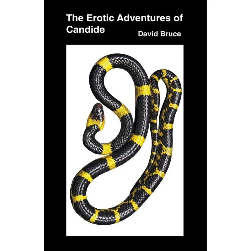 The Erotic Adventures Of Candide