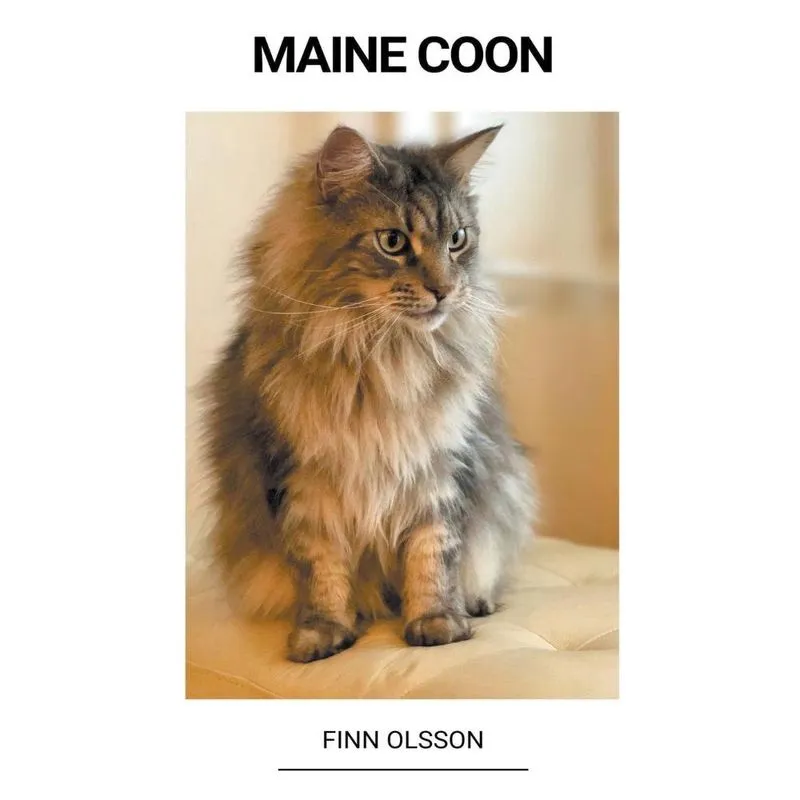 Livro Maine Coon