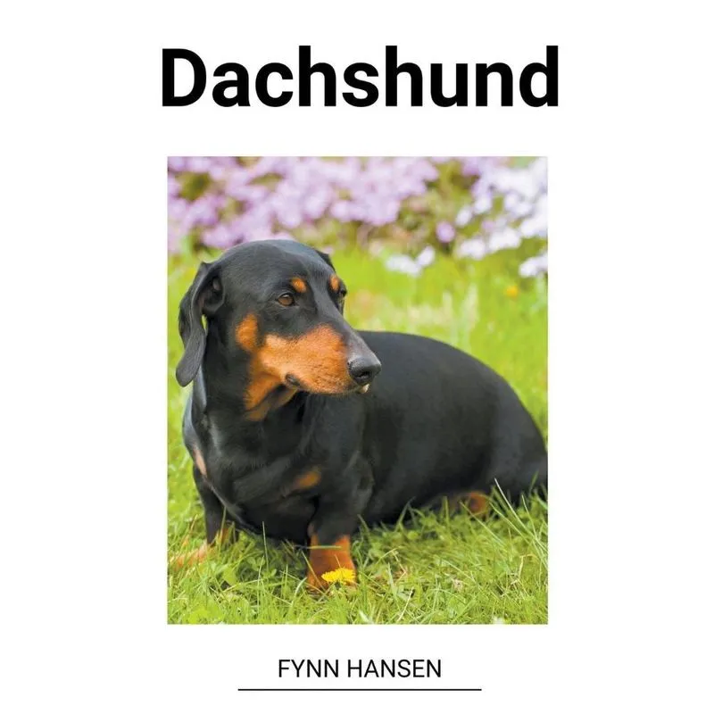 Livro Dachshund