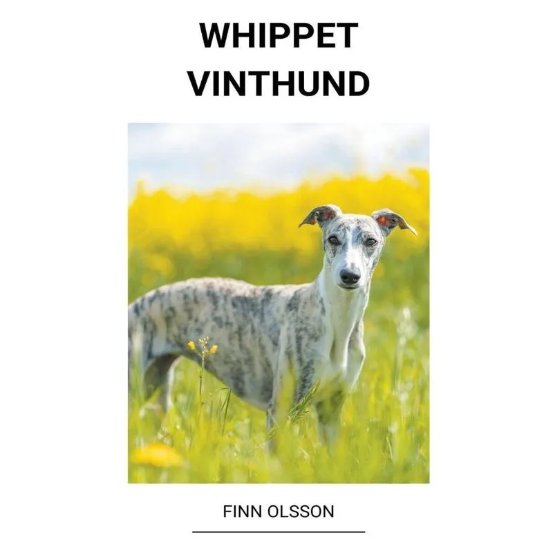 Livro Whippet (Vinthund)
