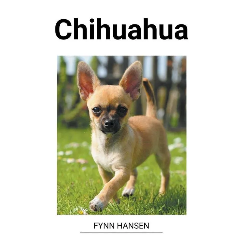 Livro Chihuahua