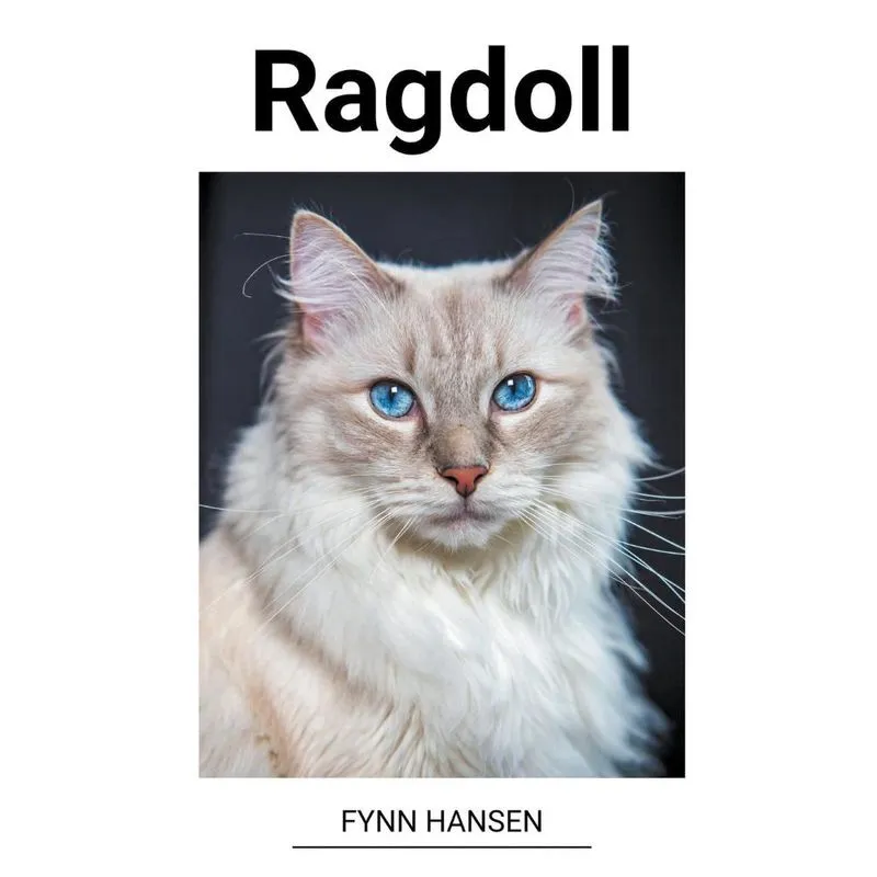 Livro Ragdoll