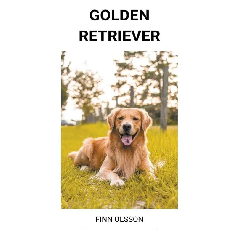 Livro Golden Retriever