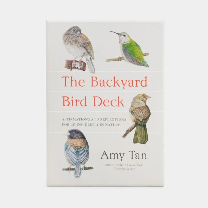 The backyard bird deck