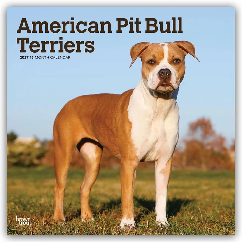 American Pit Bull Terriers 2027 - 16-Monatskalender