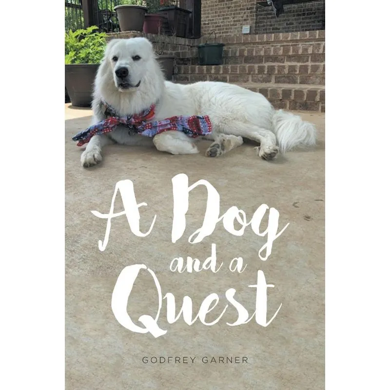 A Dog And A Quest