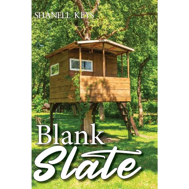 Livro Blank Slate