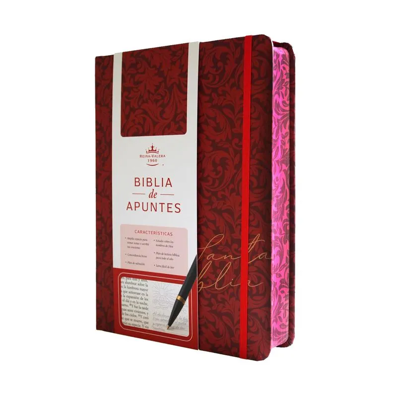 Biblia apuntes