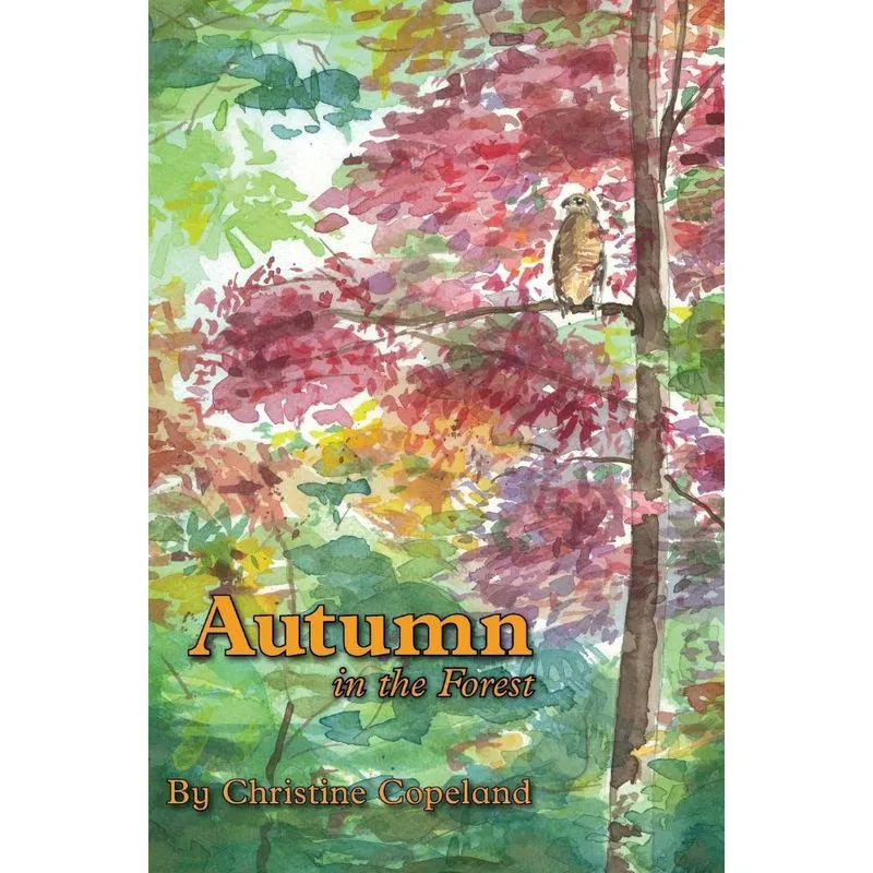 Livro Autumn in the Forest